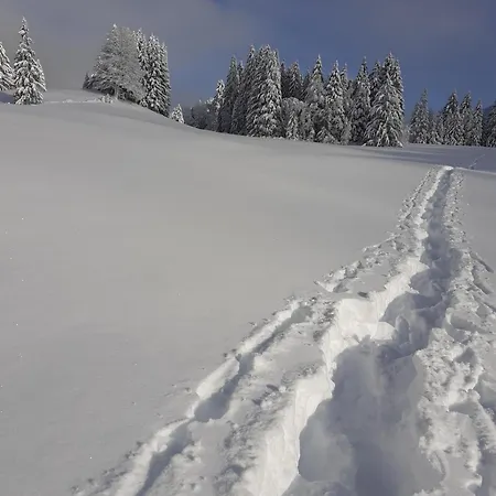 Haus Auerhahn Apartament Bad Hindelang