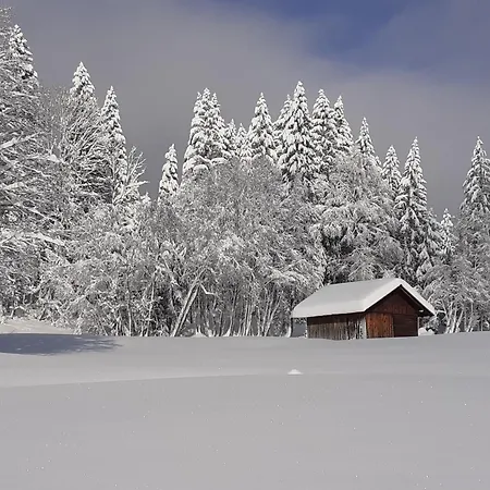 Apartament Haus Auerhahn