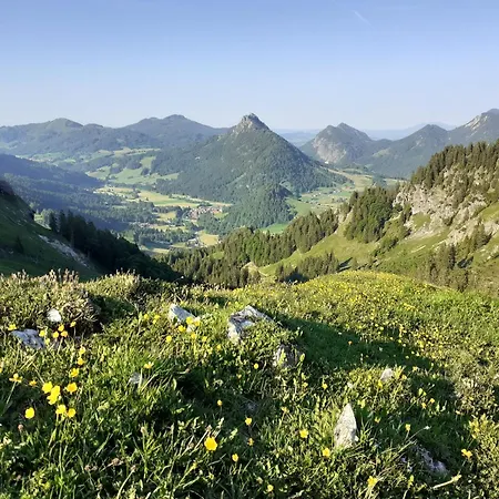 Haus Auerhahn Apartament Bad Hindelang