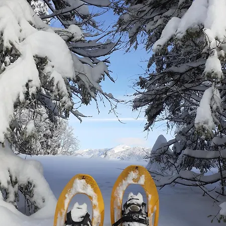 Haus Auerhahn Apartament