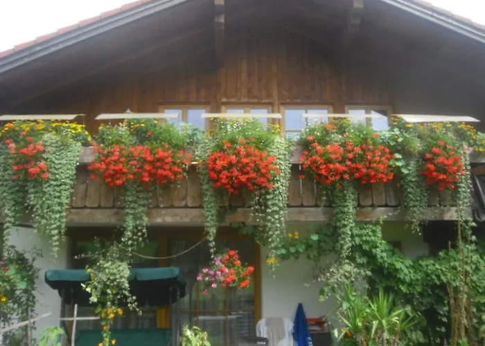 Haus Auerhahn شقة باد هينديلانغ