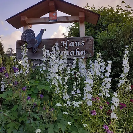 Apartment Haus Auerhahn *