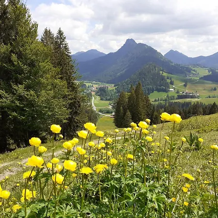 Apartment Haus Auerhahn Bad Hindelang