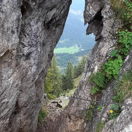 Apartment Haus Auerhahn *